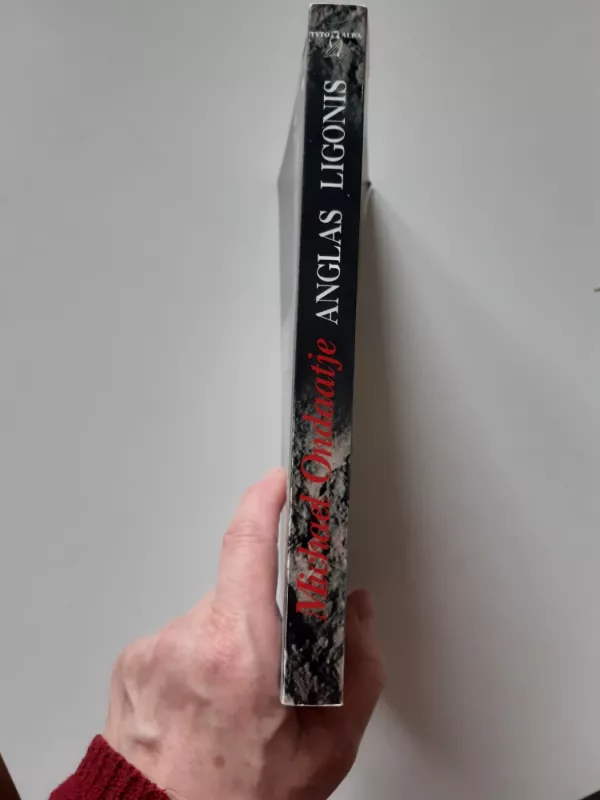 Anglas ligonis - Michael Ondaatje, knyga 4