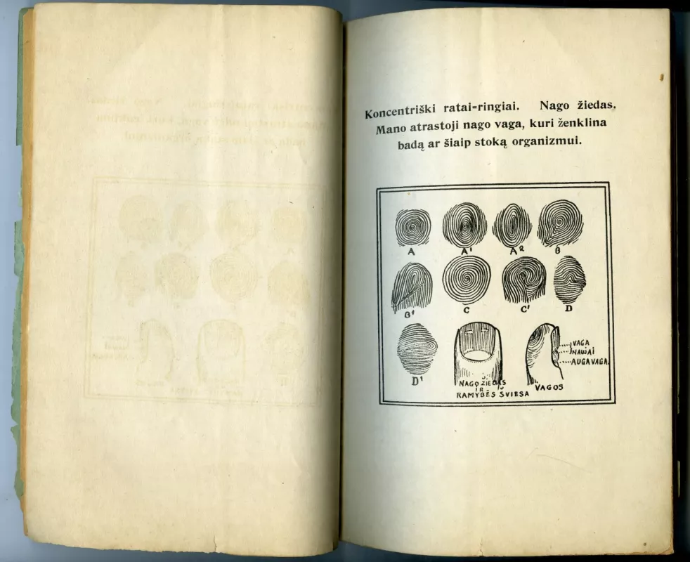 Mokslas rankažinystės arba regėjimas žmogaus rankoj, kas buvo, kas yra ir kas bus - A. Dagis, knyga 4