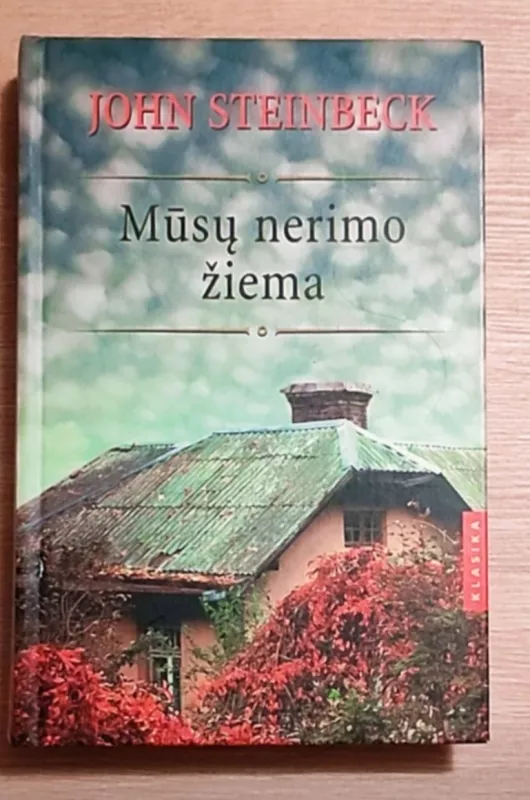 Mūsų nerimo žiema - John Steinbeck, knyga 2