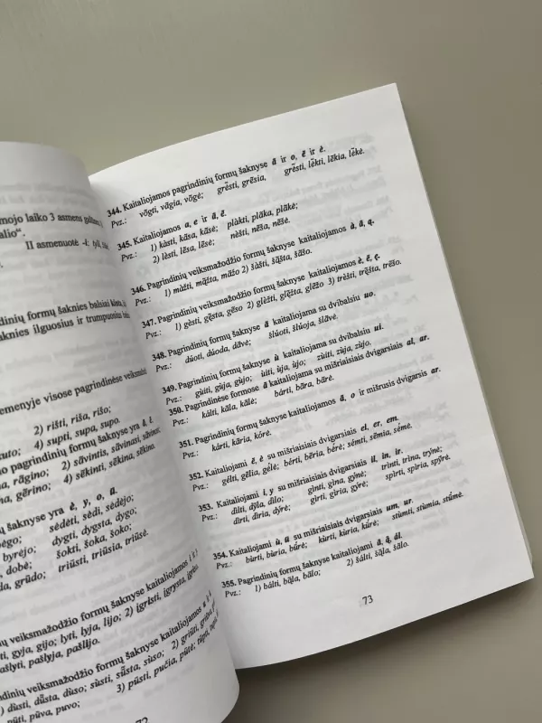 Lietuvių kalbos taisyklės - Benjaminas Kondratas, knyga 5