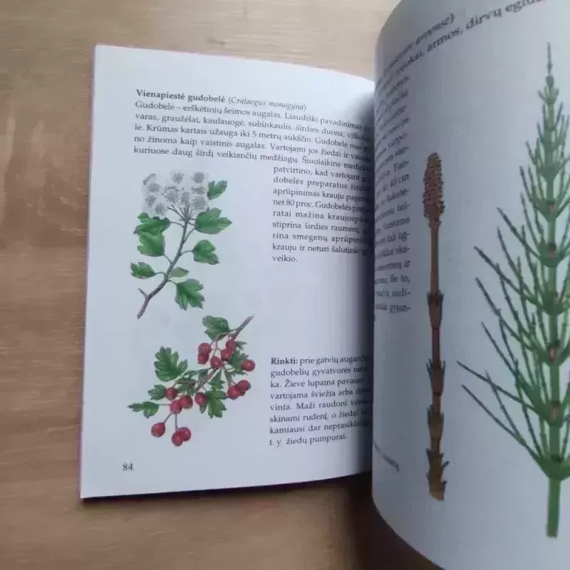 Galvos skausmai ir migrena - Maria Treben, knyga 3