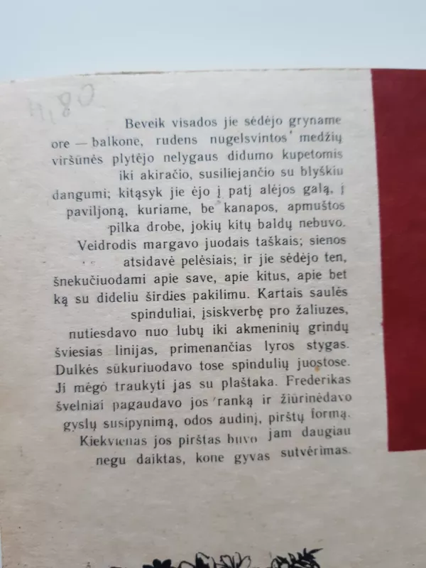 Jausmų ugdymas - Gustave Flaubert, knyga 3