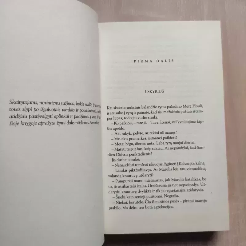 Mūsų nerimo žiema - John Steinbeck, knyga 4