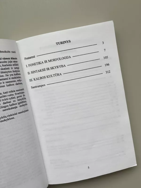 Lietuvių kalbos taisyklės - Benjaminas Kondratas, knyga 6