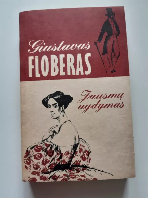 Jausmų ugdymas - Gustave Flaubert, knyga 2