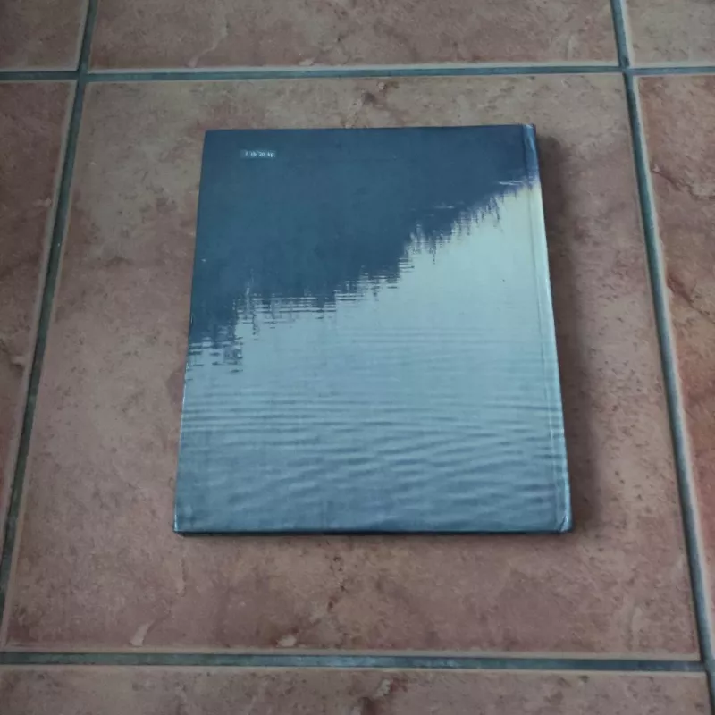 Žuvinto metai - Vytautas Nedzinskas, knyga 3