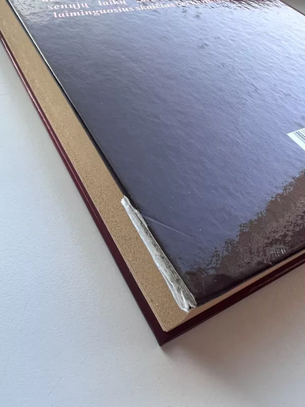 Sapnai ir burtai - Buonamičis Vitorijas, knyga 5