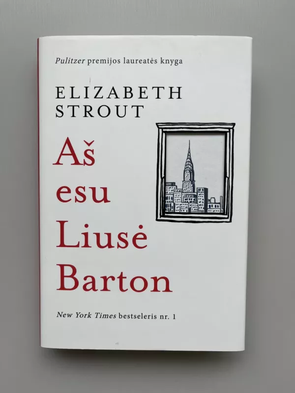 Aš esu Liusė Barton - Elizabeth Strout, knyga 2