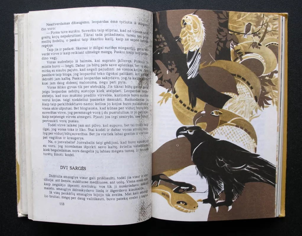 Lapė ir liūtas. Afrikos pasakos - Autorių Kolektyvas, knyga 5