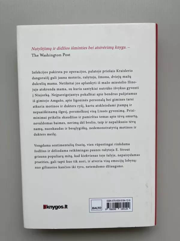 Aš esu Liusė Barton - Elizabeth Strout, knyga 5