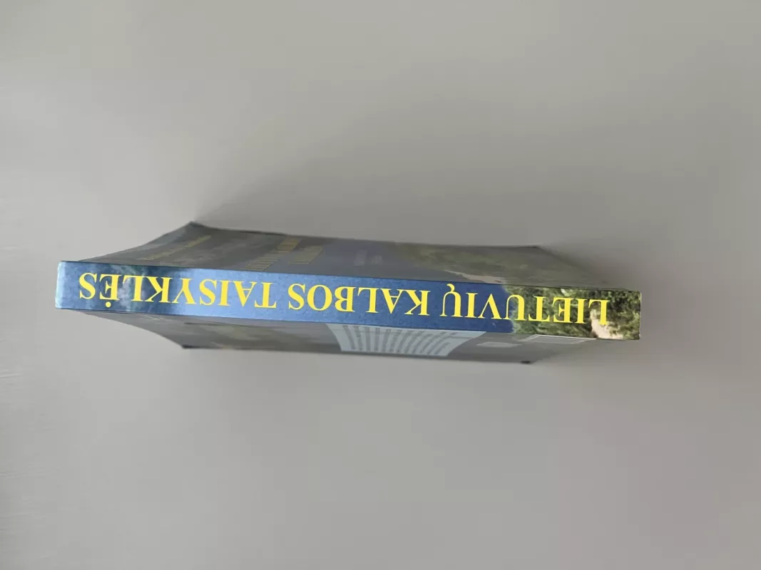 Lietuvių kalbos taisyklės - Benjaminas Kondratas, knyga 4