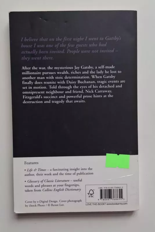 The Great Gatsby - Fitzgerald F. Scott, knyga 4