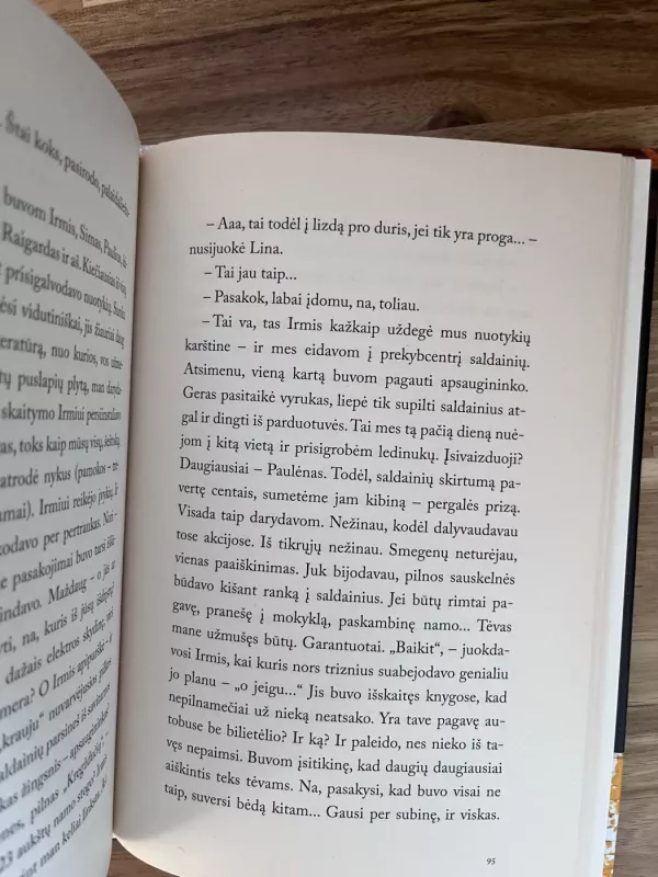 Verksnių klubas - Ilona Ežerinytė, knyga 5