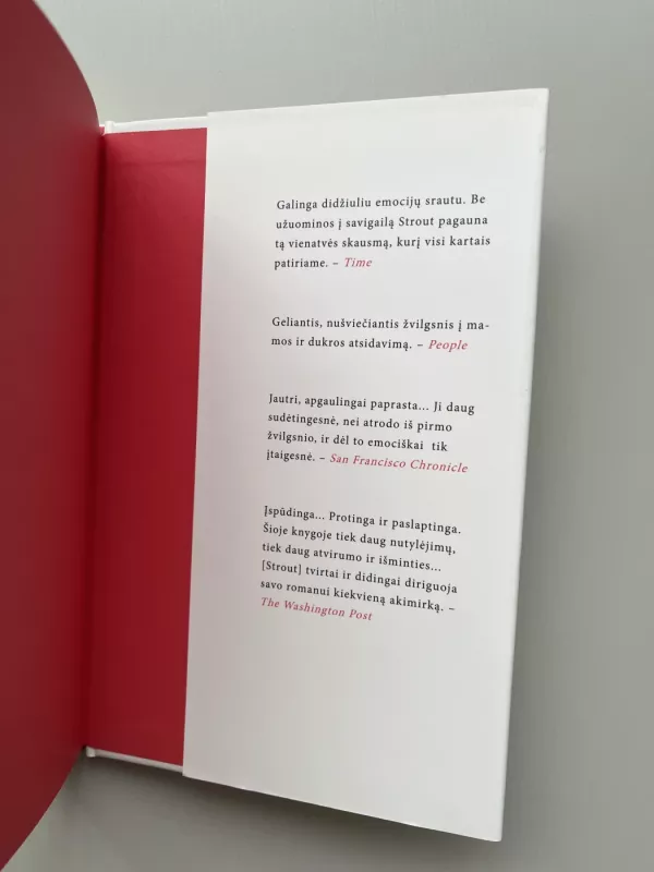 Aš esu Liusė Barton - Elizabeth Strout, knyga 6