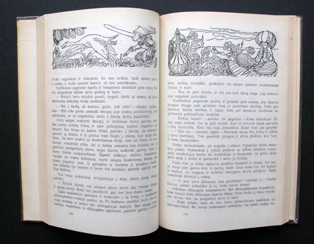 Šaltoji širdis - Vilhelmas Haufas, knyga 4