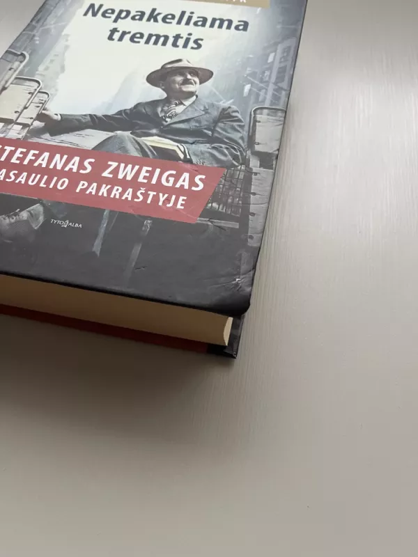 Nepakeliama tremtis: Stefanas Zweigas pasaulio pakraštyje - George Prochnik, knyga 6