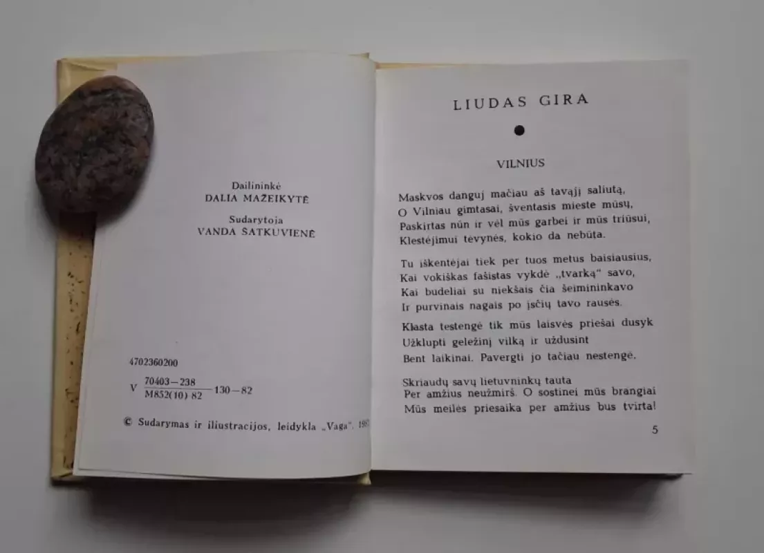 Vilniaus mozaika - Autorių Kolektyvas, knyga 4