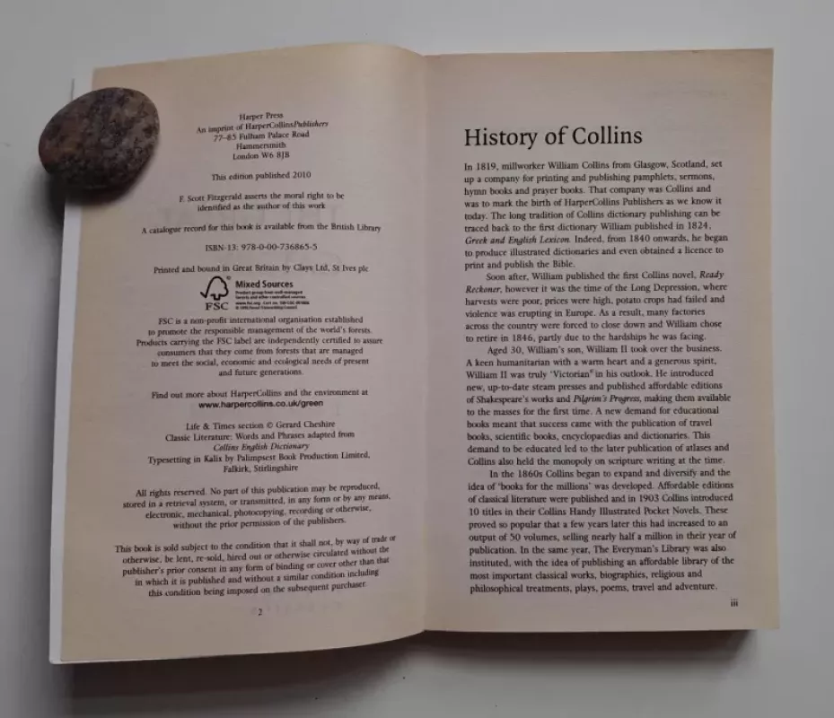 The Great Gatsby - Fitzgerald F. Scott, knyga 3