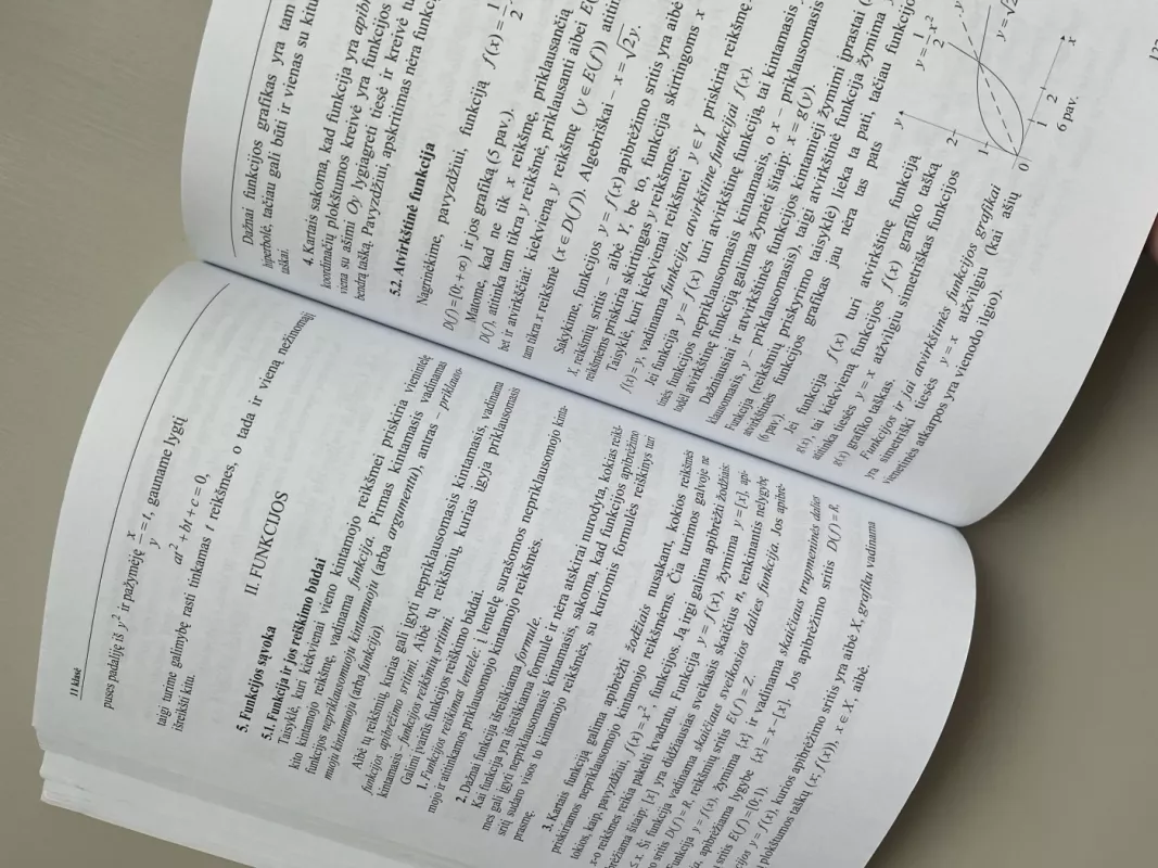 Matematika. Santrauka-žinynas su komentarais. - Petras Vaškas, knyga 5