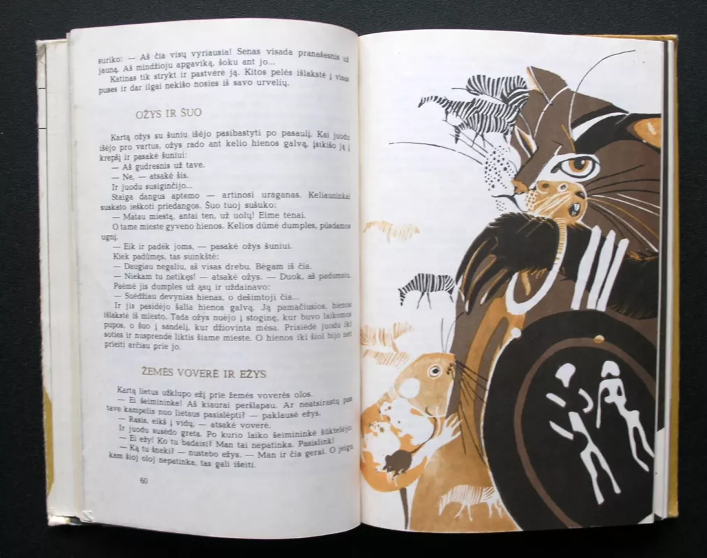 Lapė ir liūtas. Afrikos pasakos - Autorių Kolektyvas, knyga 4