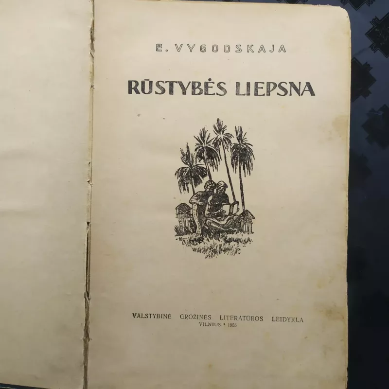 Rūstybės liepsna - E. Vygodskaja, knyga 3