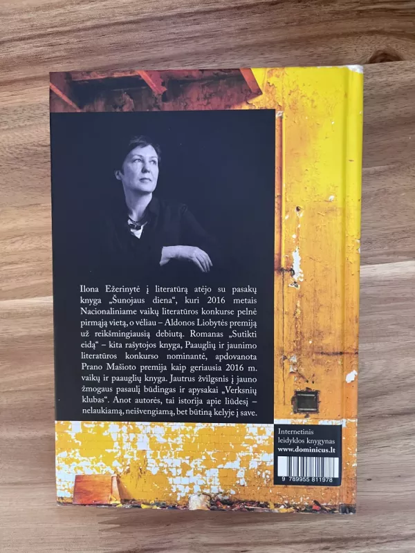 Verksnių klubas - Ilona Ežerinytė, knyga 4