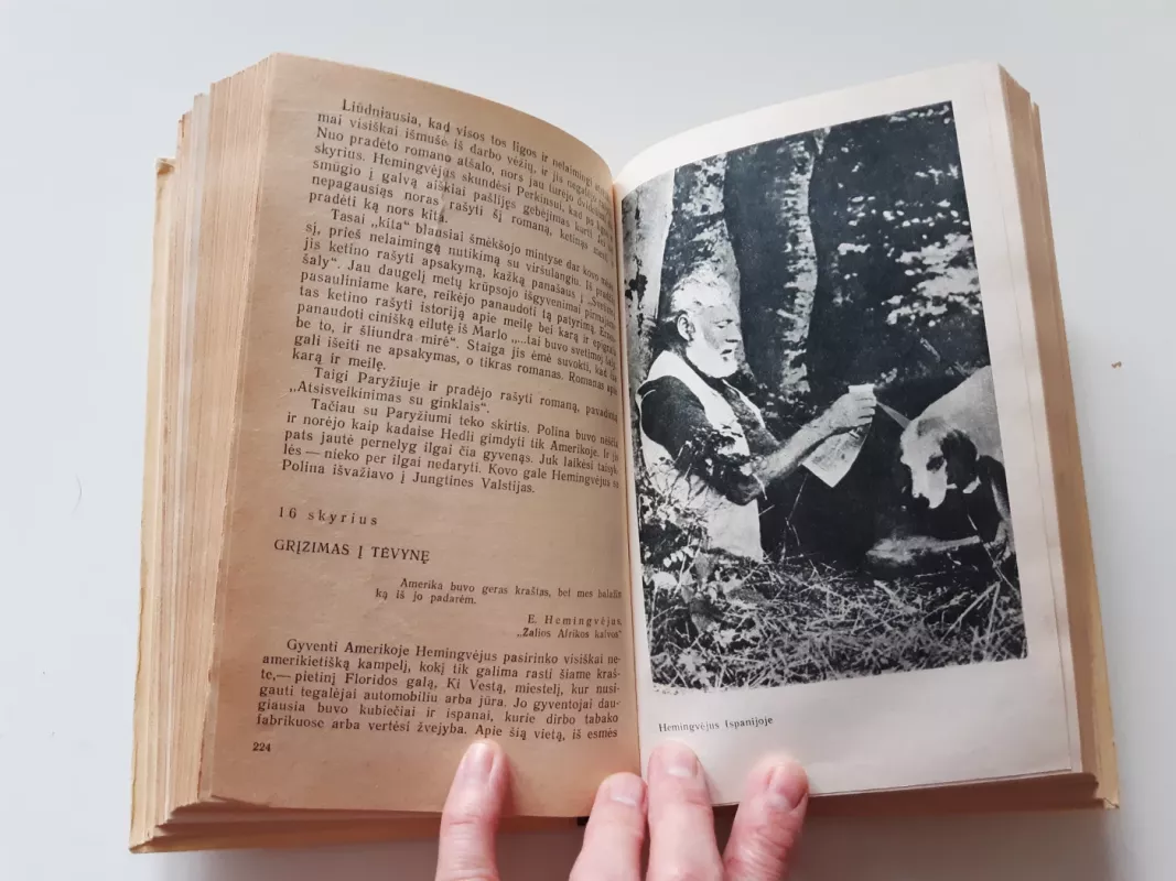 Hemingvėjus - Borisas Gribanovas, knyga 3