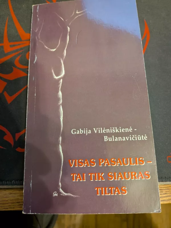 Visas pasaulis - tik siauras tiltas - Gabija Vileviškienė - Bulanavičiūtė, knyga 2