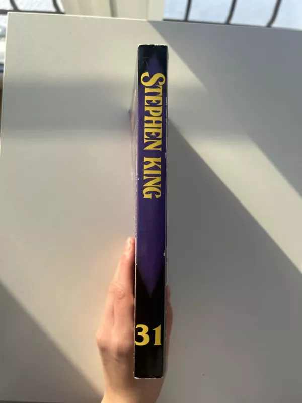 Tamsusis bokštas (1 knyga) - Stephen King, knyga 4