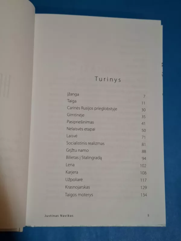 Išeiti į horizontą - Justinas Navikas, knyga 4