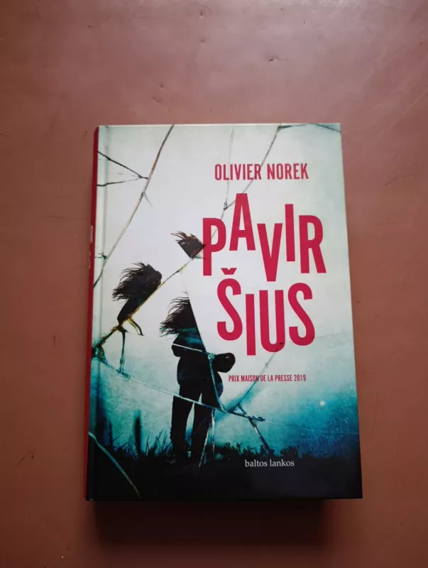 Paviršius - Olivier Norek, knyga 2