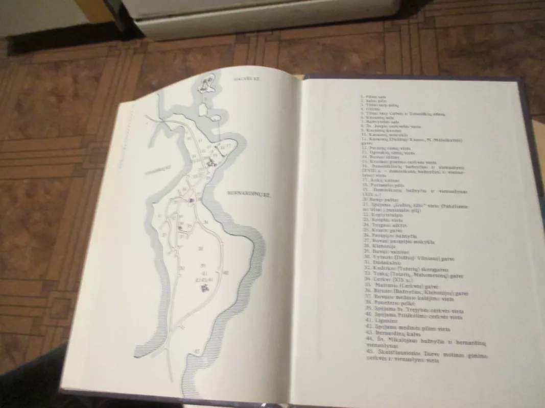 Trakų miestas ir pilys - Algirdas Baliulis, knyga 6