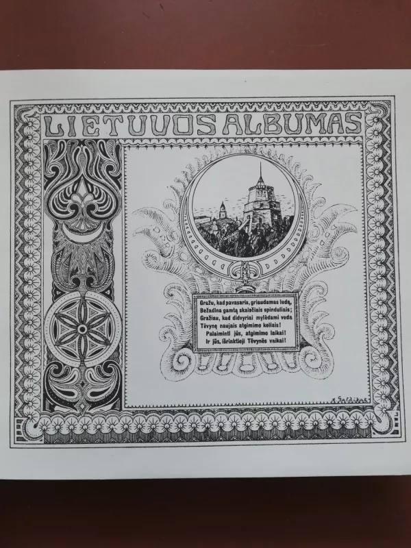 Lietuvos albumas. Lietuvos Respublikos kūrėjų, tautos kultūros ir meno darbininkų albumas. - Įvairūs autoriai, knyga 2