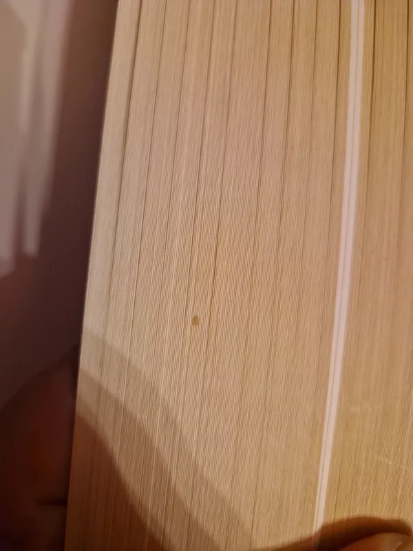 Krūtys ir kiaušinėliai - Mieko Kawakami, knyga 4