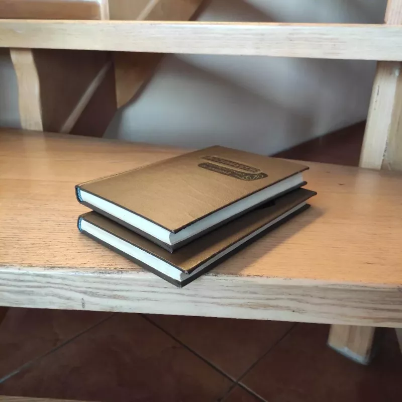 Nusikaltimas ir bausmė (2 knygos) - Fiodoras Dostojevskis, knyga 6