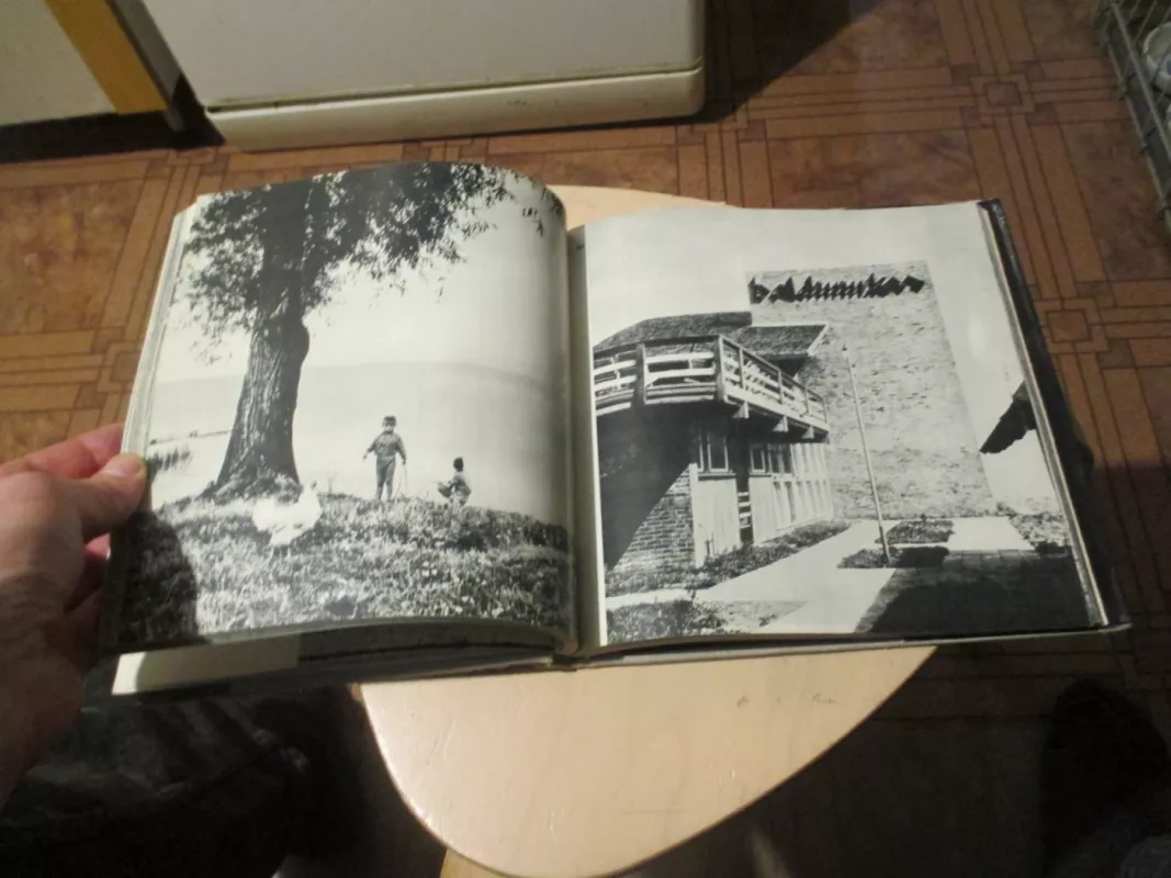 Lietuvos Nerija - B. Orentaitė, knyga 5