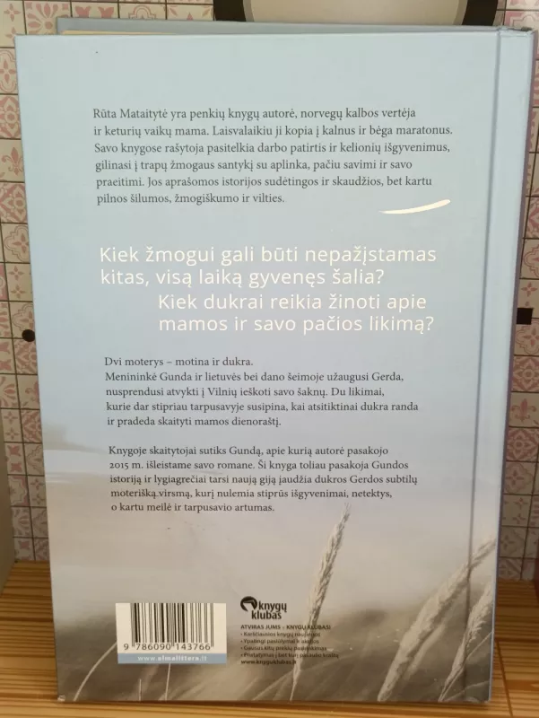 Pavogtas dienoraštis - Rūta Mataitytė, knyga 3