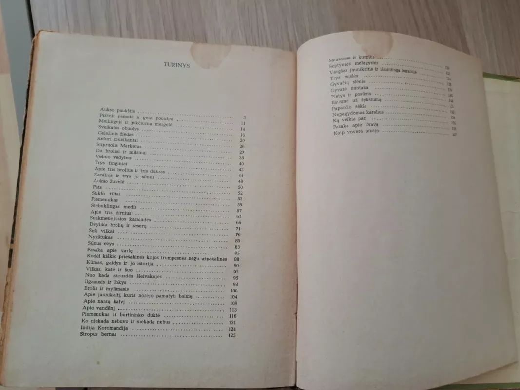 Stiklo tiltas: Slovėnų pasakos - Autorių Kolektyvas, knyga 3