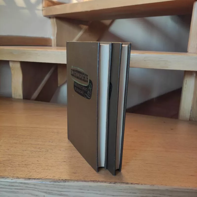 Nusikaltimas ir bausmė (2 knygos) - Fiodoras Dostojevskis, knyga 3