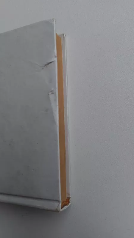 Polina. Katrina Blium - Aleksandras Diuma, knyga 3