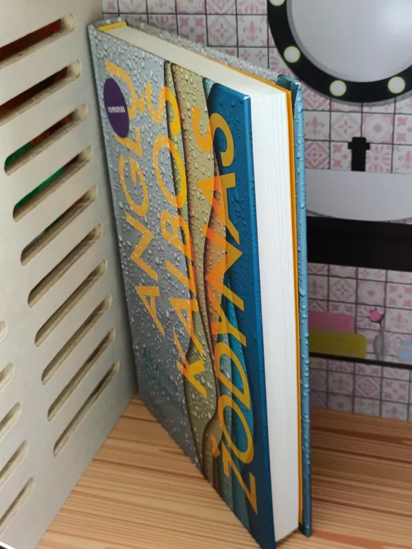 Anglų kalbos žodynas - Akvilina Cicėnaitė, knyga 5