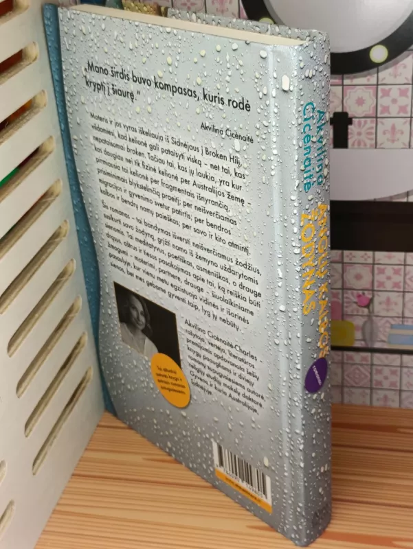 Anglų kalbos žodynas - Akvilina Cicėnaitė, knyga 4