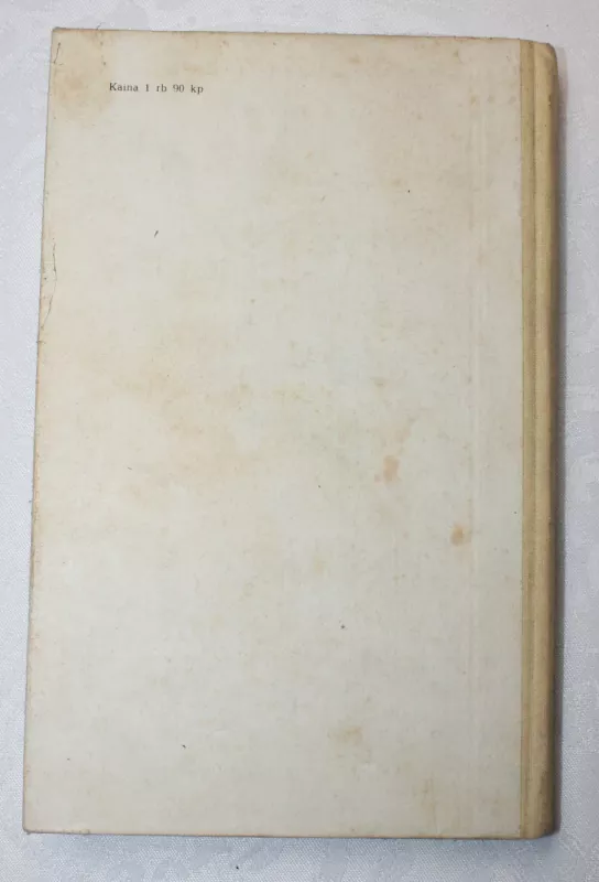 Viduramžių riterių romanai - Tomas Meloris, knyga 5