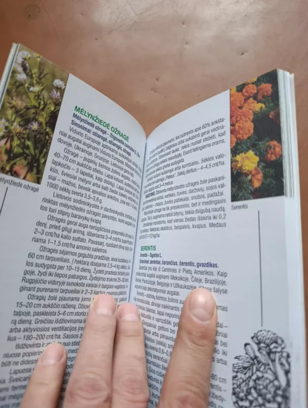 Prieskoniniai vaistiniai ir medingieji augalai - Stanislovas Gegužis, knyga 6