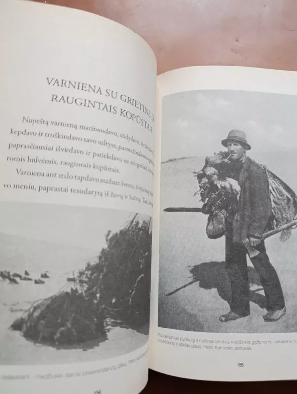 Elektros boikotas ir kiti pasakojimai apie smetotinę Lietuvą - Gediminas Kulikauskas, knyga 6