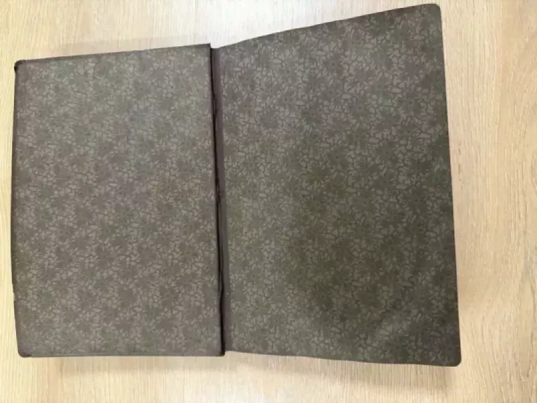 Arkivyskupas Jurgis Matulevičius - Autorių Kolektyvas, knyga 4