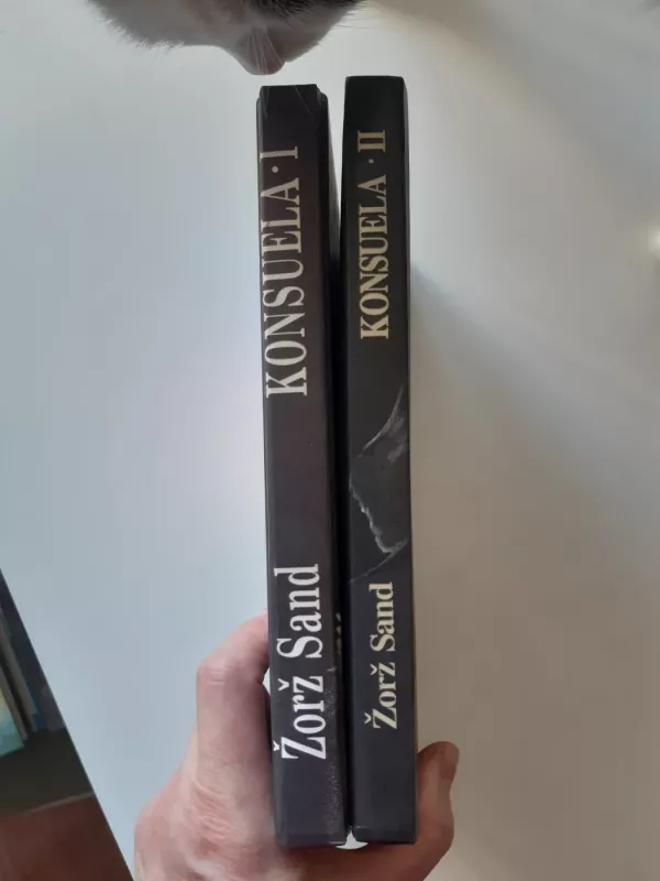 Konsuela (2 dalys) - Žorž Sand, knyga 3