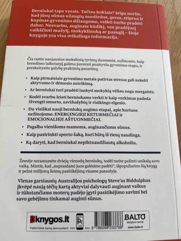 Kaip auginti berniukus  XXI amžiuje - Steve Biddulph, knyga 3