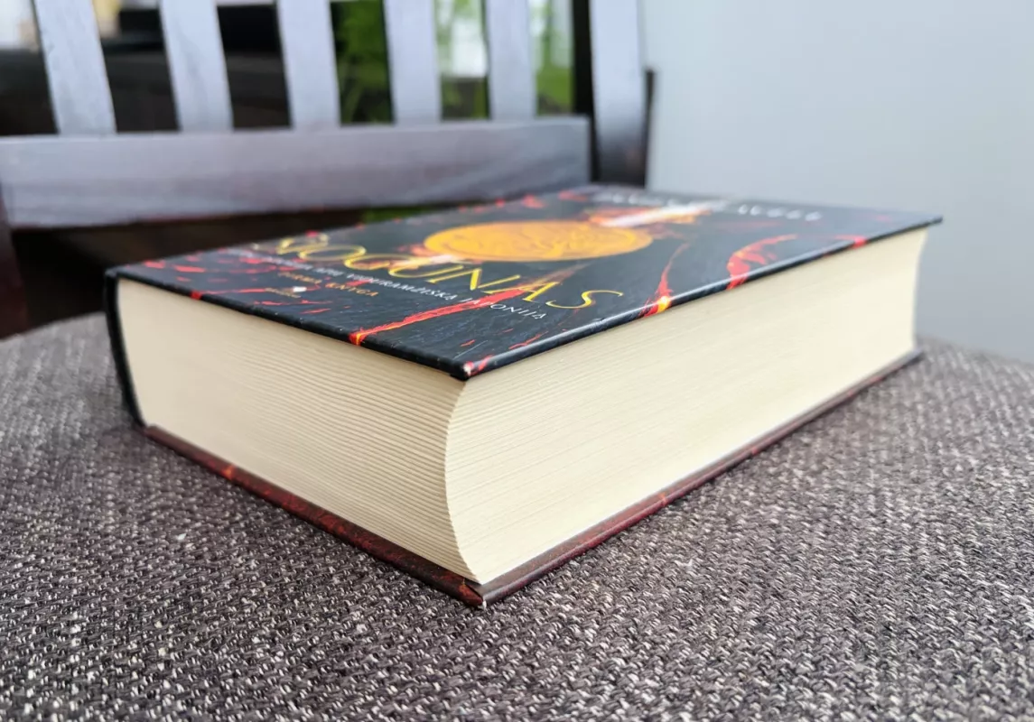 Šiogūnas. 1 knyga - James Clavell, knyga 4