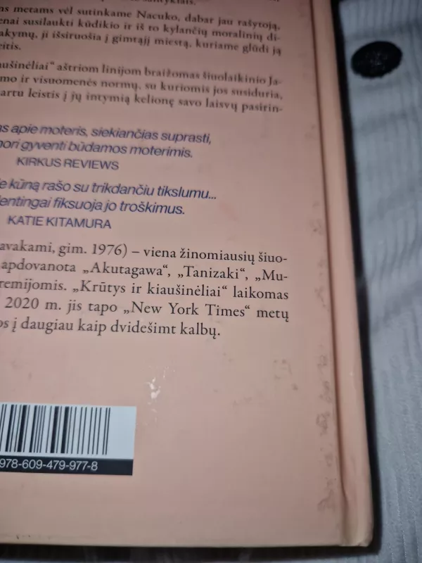 Krūtys ir kiaušinėliai - Mieko Kawakami, knyga 6